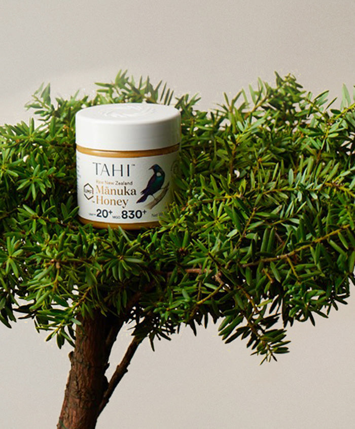 Gift for the Nature Lover