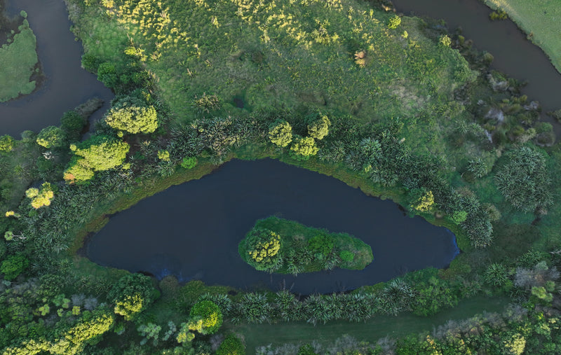 Base Image
