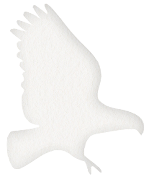 kāka
the noisy nectar eater