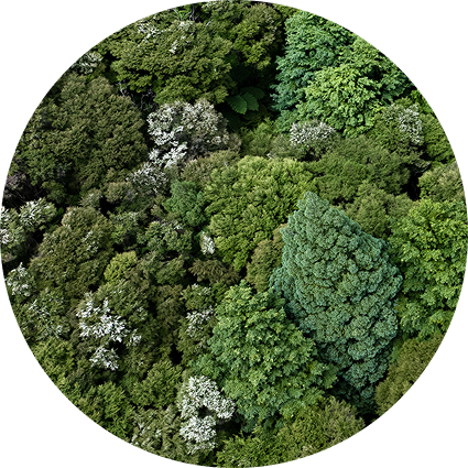 100% of Profits Reinvested Into Biodiversity Regeneration