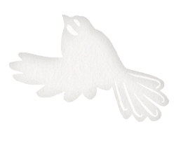 piwakawaka
the people’s friend