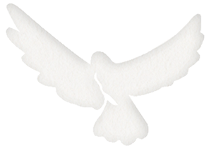 KereRū
The seed disperser