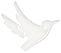 kōtare
the plant protector